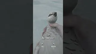 Thumbnail: Pro player hunts ptarmigans