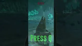 Thumbnail: FISHING IN PVP | Ark Survival Ascended