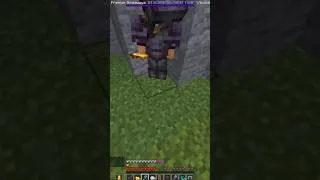 Thumbnail: pvp montage