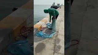 Thumbnail: Fishing 🎣 in Hua Hin beach 🏝️ Ep.2 #shorts #short #shortvideo