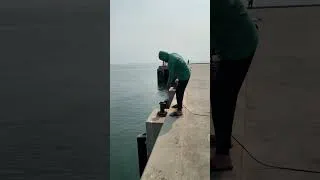 Thumbnail: Fishing 🎣 in Hua Hin beach 🏝️ Ep.1 #shorts #short #shortvideo