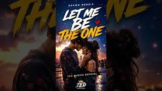 Thumbnail: Shawn Mendis - LET ME BE THE ONE (Lyrics)