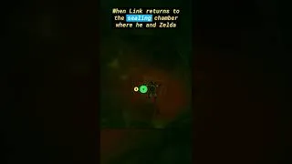 Thumbnail: You can get Zelda's Torch in Tears of the Kingdom?!