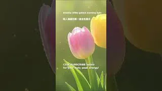 Thumbnail: Morning Wake Up Flow 🧘‍♂️ 清晨提頻活力舒展 #shorts #MorningYoga #Zen20 #好聽的鋼琴音樂