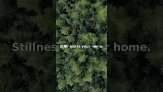 Thumbnail: Stillness is your home. | Zen Yoga Music #Shorts