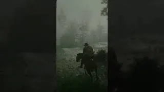 Thumbnail: unique magnificent horse location in red dead 2