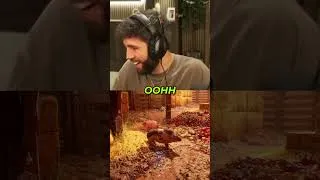 Thumbnail: Zerkaa Dies Laughing