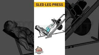 Thumbnail: Sled Leg Press for Bigger Legs 🔥 | Build Powerful Quads & Glutes