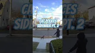 Thumbnail: Cat Polices Sidewalk, Part 2: No Loitering