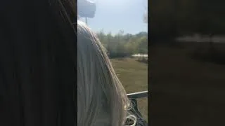 Thumbnail: Lol skeleton on the skyride