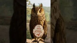 Thumbnail: THE BEST BIRD YET?! Planet Zoo 2’s New Feature Focus.