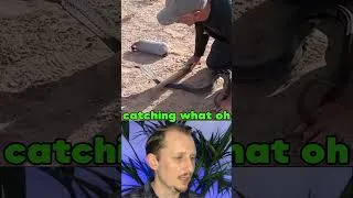Thumbnail: He Spat on a Cobra… #venomouscreatures #snakereactions #snake #animals #reptiles #zoology #cobra
