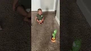 Thumbnail: He loves this thing 🌵 #dads #moms #baby #babytoys